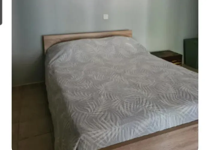 Rez De Avec Jardin דירה *