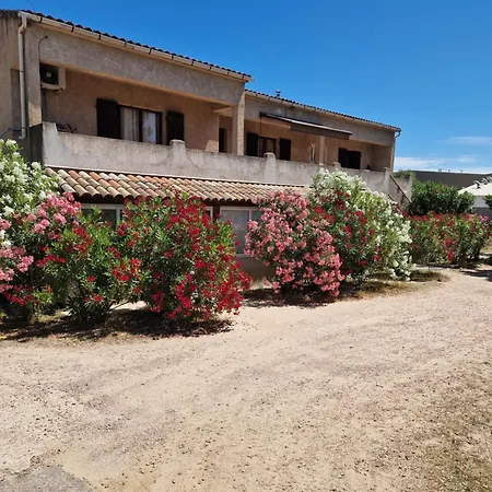 Rez De Avec Jardin Porto Vecchio