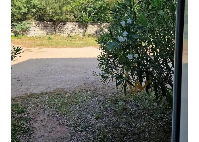 Daire Rez De Avec Jardin Porto-Vecchio (Corsica)